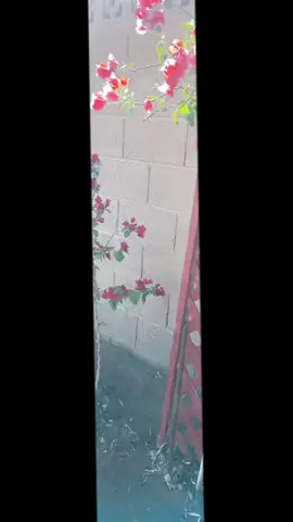 #Recuerdos ####navidad #minavidad #navidadentiktok #hermosobebe 