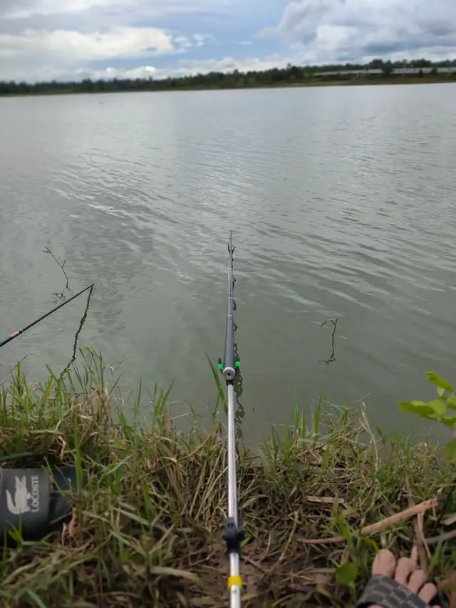 #cauca #xh báo cá 😆