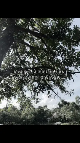 មនុស្សស្រី ! បែបមិចទើប ! មនុស្សប្រុសស្រឡាញ់ ! ដកចិត្តមិនរួច …? #12345678910_vin #zxybcaシ #fypシ゚ #