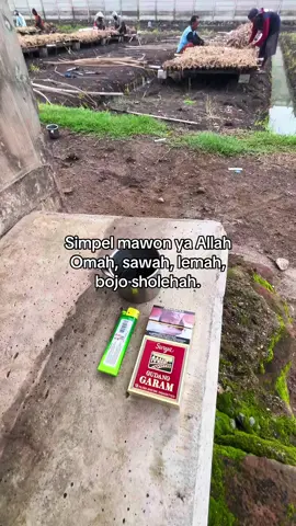 5Ha🤲🏻🤲🏻🤲🏻 #petanimilenial #bawangmerah #nganjuk24jam #fyp 