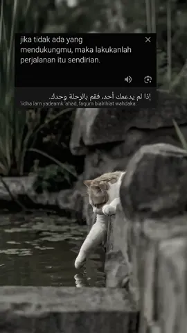 #CapCut TEMPLATE CAPCUT #katamotivasi #fyp 