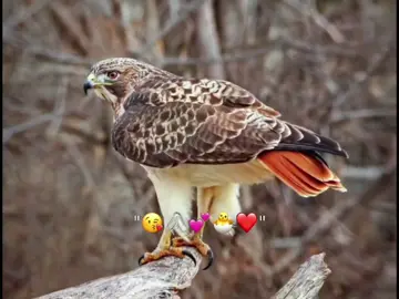 unfreeze My Account #pashtosong #foryoupage #virall #My #videos 