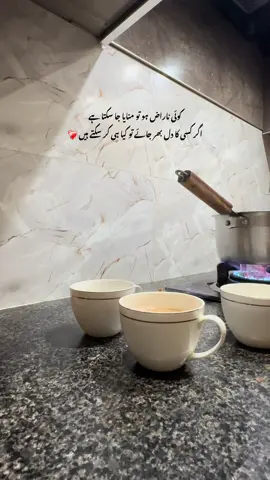 کوئی ناراض ہو تو منایا جا سکتا ہے  اگر کسی کا دل بھر جائے تو کیا ہی کر سکتے ہیں ❤️‍🩹 #tea #teacup #chaye #tealovers☕💗 #tealover 