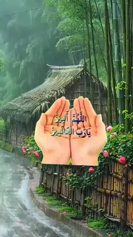 #يارب_فوضت_امري_اليك ####يارب_فوضت_امري_اليك ####اسقيناءالغيث🌧🌧❤️ #يارب_دعوتك_فأستجب_لي_دعائي #حفظكم_الله_ورعاكم_ونصركم_وأعزّكم #صباح_الخير #المغرب🇲🇦 #المغرب🇲🇦 