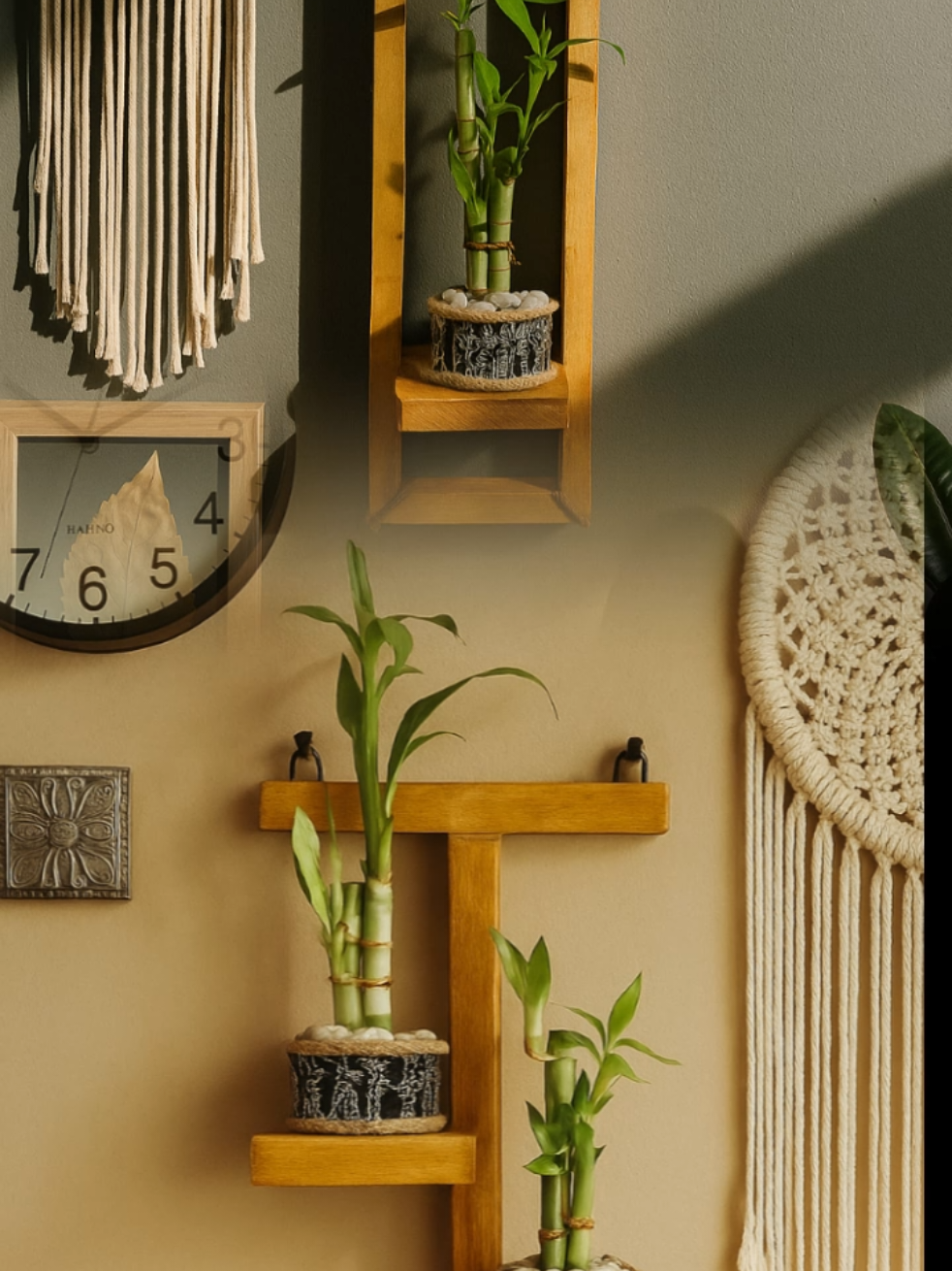 Huasan Dinding Tanaman Hidup #tanaman #bamboo #bambuhoki #hiasandinding 