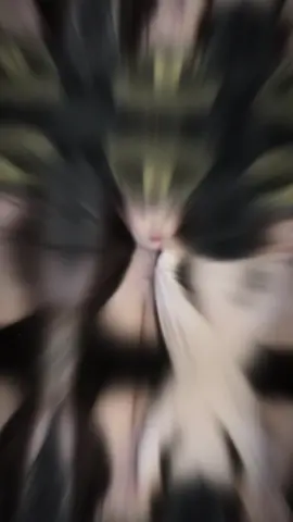 hết ảnh #xuhuongtiktok 