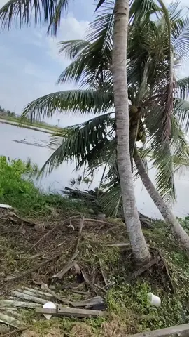 #hidupinikeras #katakatamotivasi #mukabelemoih #fyp #tiktok @MUKA BELEMOIH 