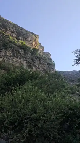 #اكسبلووووووووووور❤❤  #اكسبلورexplore❥🕊🦋💚❤🕊️  #ايوب_طارش_طرب_يمني_حب_عشق_اشتياق_غرب  #وسيم_الشرفي  #اغاني_يمنية_الغربة_عدن_تعز_صنعاء_ 