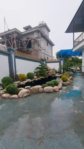 #hocakoi #nhavuon #thicongsanvuon