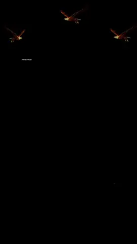 #CapCut #اكسبلور #سوريا #فلسطين 