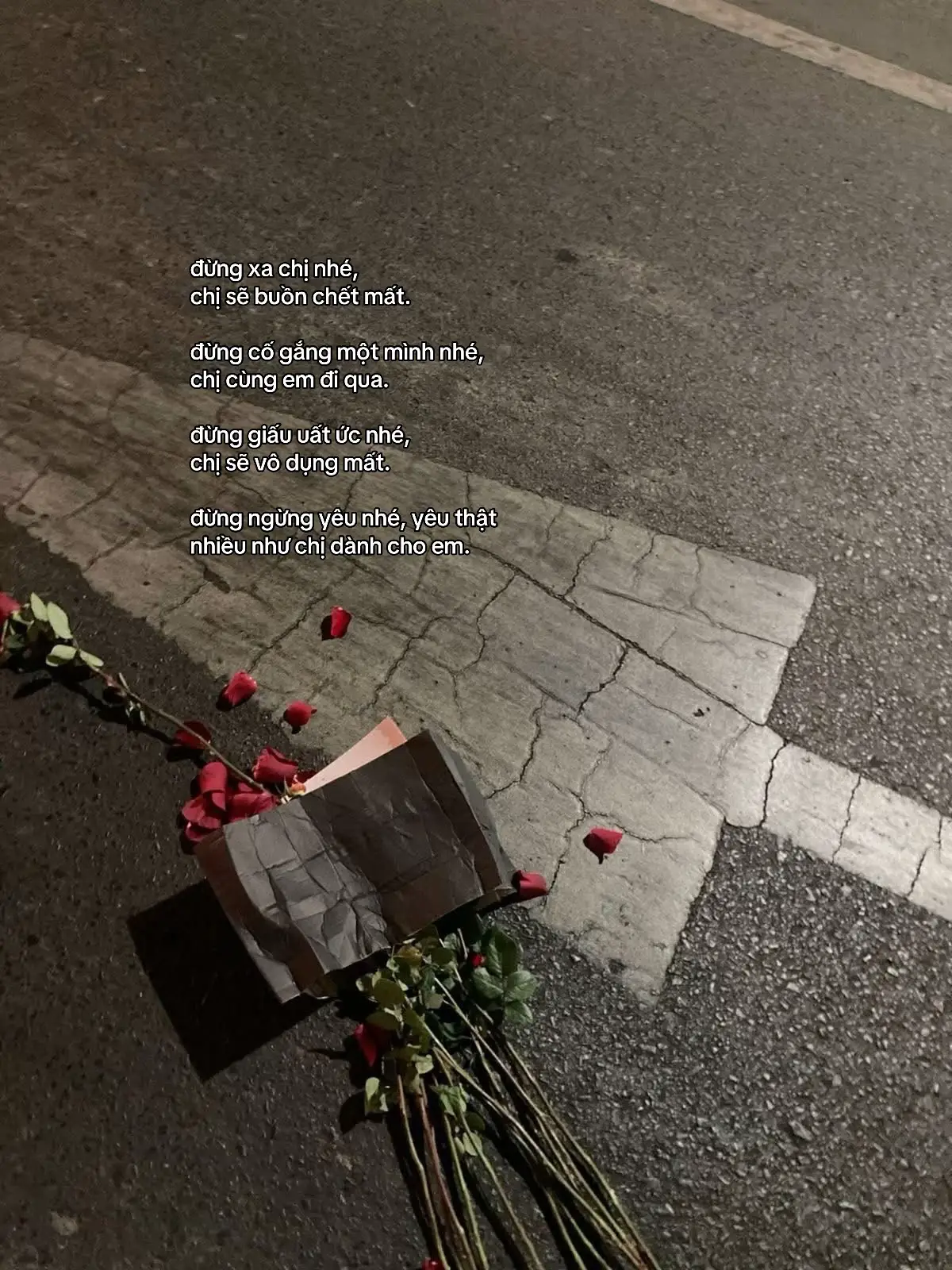 #halyelgei #fyp #gei #xuhuong 