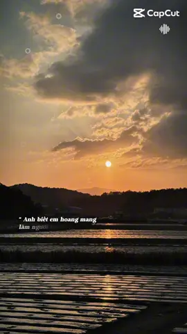 đời bạc .. #korea #havancrt #vieclamhanquoc #nongnghiephanquoc #bhp 