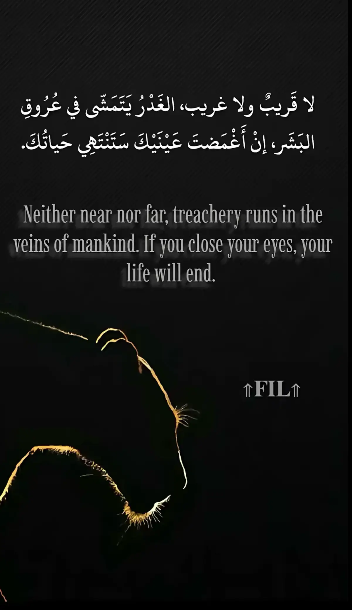 #الجمل🦅 #السلام_بلدنا 