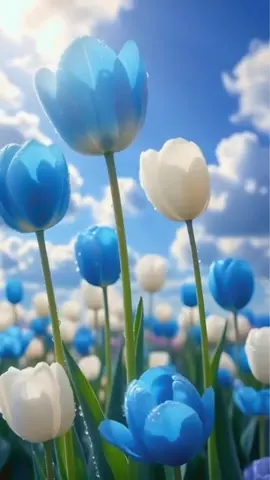 #inspiration #motivation #quotemotivation #advicemotivational #foryoupage❤️❤️❤️foryou💞💞💜 