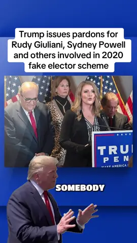 Trump issues pardons for Rudy Giuliani, Sydney Powell and others involved in 2020 fake elector scheme. The White House announced late Sunday evening that Donald Trump had issued pardons for members of his 2020 campaign legal team, including Rudy Giuliani, Kenneth Chesebro and Sydney Powell, for their involvement in a scheme to alter the slates of electors chosen by states that voted against the Republican nominee in that year’s presidential election. A statement announcing a list of 77 people who were pardoned was tweeted out late Sunday evening, at 10:54 p.m. local time, by Trump’s “clemency czar” Ed Martin.