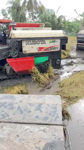 Quá khứ mùa nước rồi @@ suong 105 @nhon84kubota 