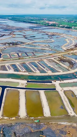 Vinhomes Cần Giờ thi công quá nhanh! 