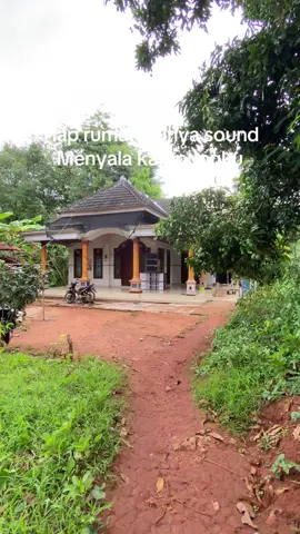 #rufaaudio #soundviral #miniaturedachshund 