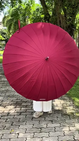 Đẹp mà sang nhưng không phải 300,500 cành đâu #xuhuong #ô #odu  @Mai Anh Nguyễn  @Mai Anh Nguyễn  @Mai Anh Nguyễn 