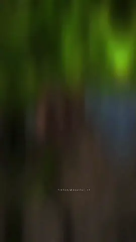 Logo Re Ishq Na Karyo! #CapCut #fyp #viralvideo #grow #soulful_17 