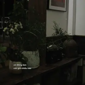 #lyrics #music xin đừng làm cơn gió..#fyp #cover 