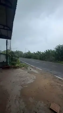 Super Saiyans blue😂 #everyone  #funnyvideos 