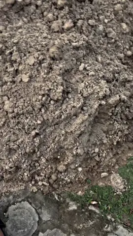 #fypp #njmxprostreet #promomakan1111 #njmxsolorayastyle 