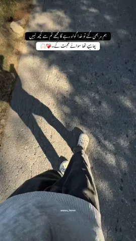 سوائے محبت کے۔❤️‍🩹🙌🏻#peotry #fyp #viral #trending #peotrystatus 