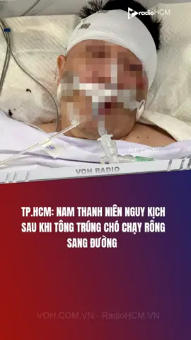 TPHCM: Nam thanh niên ng.uy k.ịch sau khi t_ông trúng chó chạy rông sang đường #VOH #TinTuc #ANTT #giaothong 