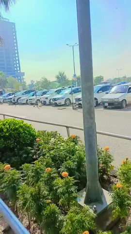 #foryoupage #viralvideo #foryourpage 