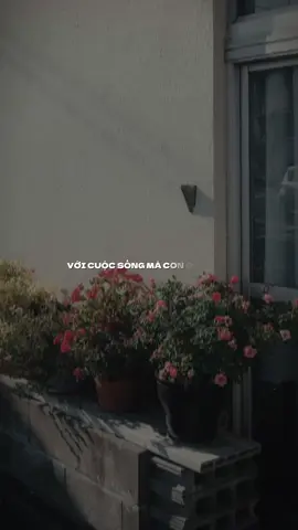 Con áp lực với tất cả những gì con đang muốn #zuongzeroent #tuoi25 #tikatana #ntphu17 #CapCut 