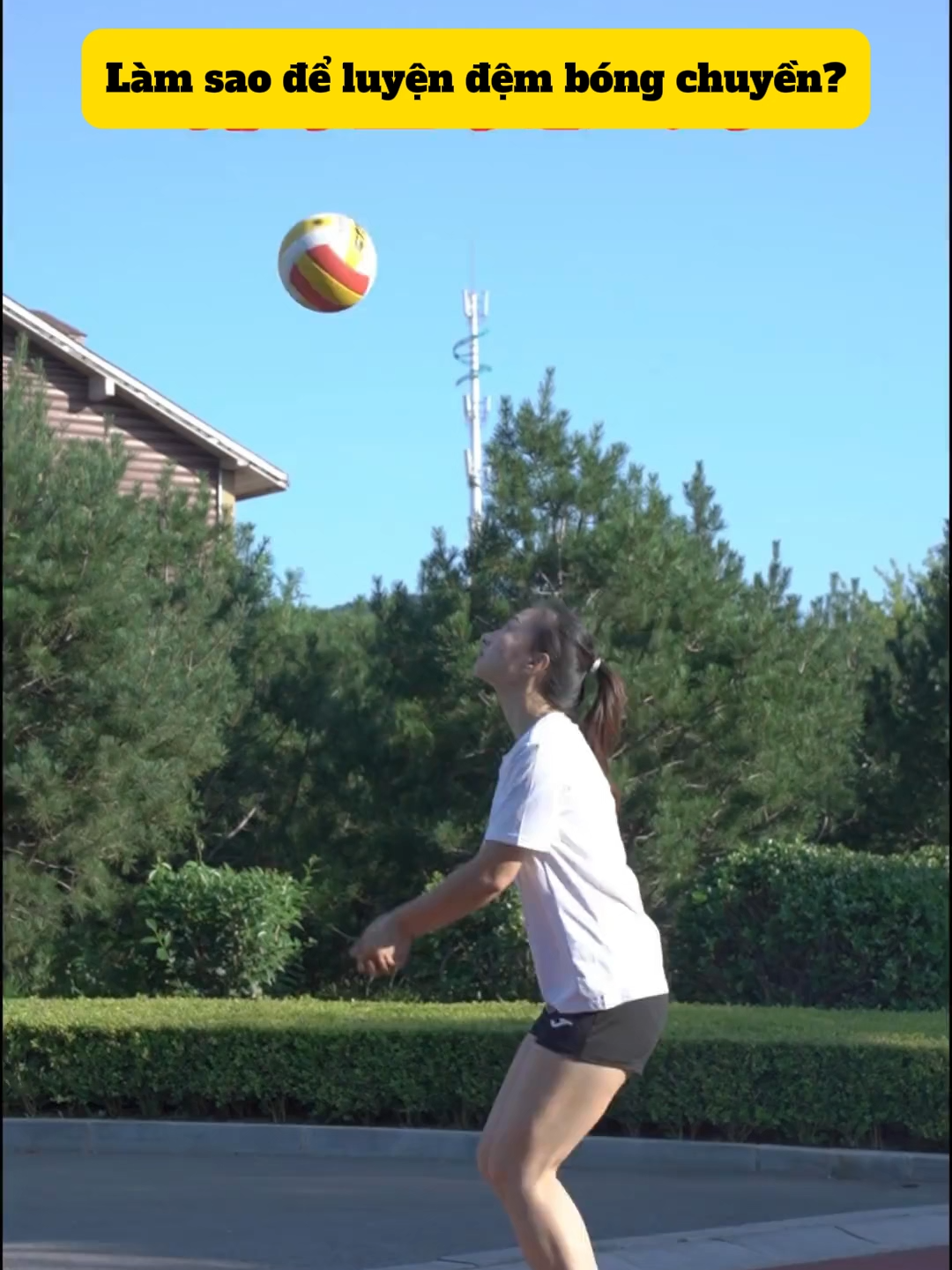 Muốn đệm bóng chắc tay hơn? 💪 5 lỗi thường gặp và cách luyện hiệu quả cho người mới! Cuối video có gợi ý quả bóng da mềm êm tay, đệm sướng cực 😍 #bongchuyen #tapluyenchobongchuyen #hocbongchuyen #bongchuyendoi #volleyballtraining