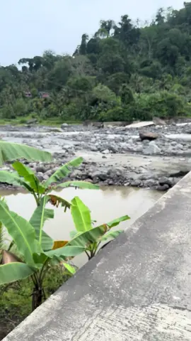 Mblarah e langsung perbatasan Tempursari - Lebakharjo iki🔥🔥🐊😛 #fypage #fyppppppppppppppppppppppp 