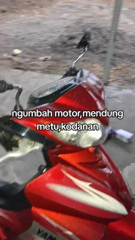 gelengkan kepala dan katakan🗿#jupiterz #5tp #5tpmenolakpunah 