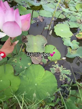 😭🤍 #fyp #ព្រៃវែងផ្ទះខ្ញុំ 