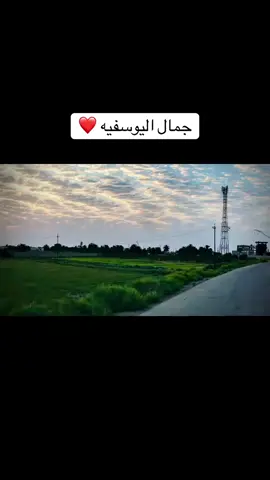 ذكريات اليوسفيه #اليوسفيه_ديار_العز🌱🌱 #الشعب_الصيني_ماله_حل😂😂 #مالي_خلق_احط_هاشتاقات #ذكريات 