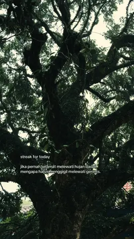 #quotes #motivation #rain #streak🔥 #fyp #foryou #foryoupage 