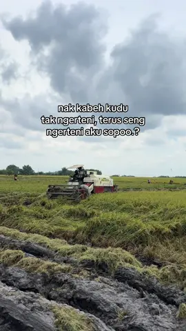 #combineharvester #bimo102ss #gabahgank #putratunggalgrup #fyp 