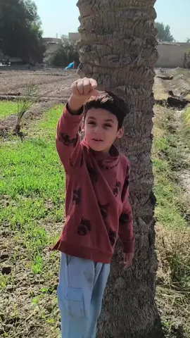 حمودي حربكه #حربكه✌️✈️ 