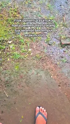 😇😇😇#fyp #drivermuda #masukberanda #storycanter #trend 