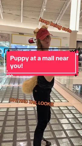 Try to find all the lil thoughts ehe puppy girl at a mall! Near you #puppygirlevie #puppygirl #furry #transfem #lgbtq 