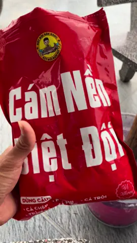 cám nền biệt đội #caucagiaitri #fishing 