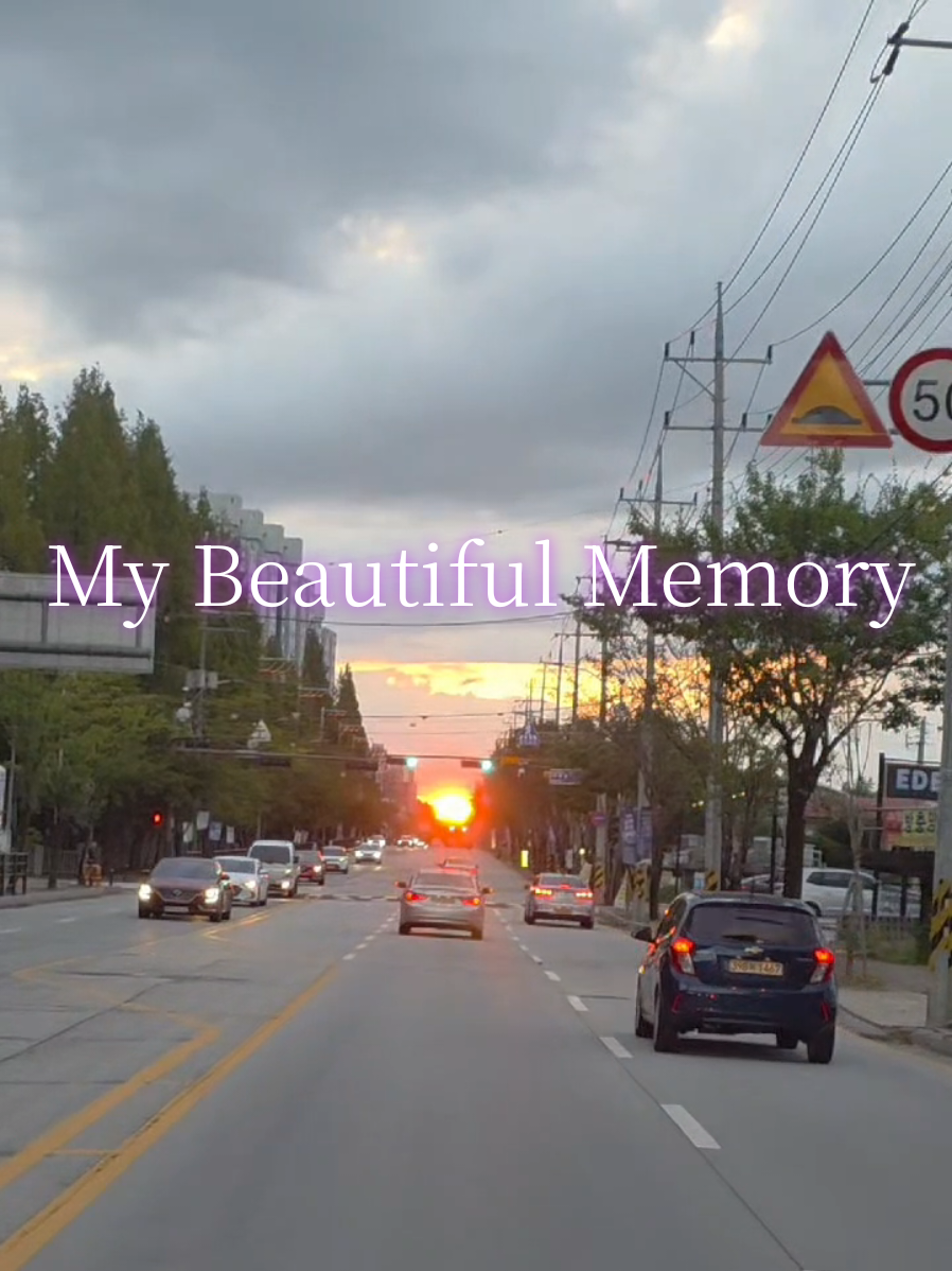 🎶 My Beautiful Memory  #mybeautifuimemory  #raselhits 