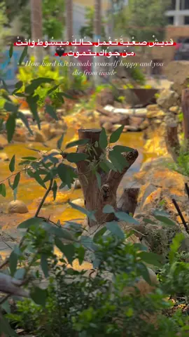 #fffffffffffyyyyyyyyyyyppppppppppp #تصميم_فيديوهات🎶🎤🎬 #مصمم_فيديوهات🎬🎵 #قلقيلية_الشامخة🦅👑 #عزون_الشامخه⚜🦅 