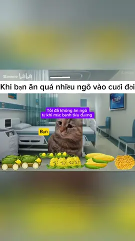 Tôi phải ăn thật nhiều ngô tại vì nếu không ăn thì không được ăn nữa mong là không có chuyện gì xảy ra #xuhuong #Cat #Memecat #xh #Meme 