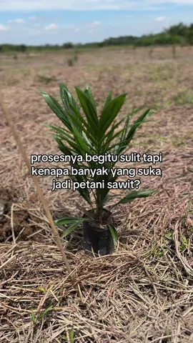 padahal nunggu 3 tahun baru ada hasil