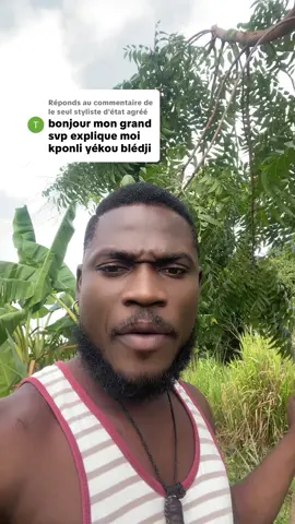 Réponse à @le seul styliste d'état agréé 