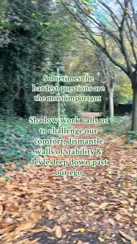 🖤 Shadow work is the sacred act of journeying beneath the ego’s surface layers - the masks, defences and stories we have created to survive. 🤎🌿 We delve down into the deeper terrain of the subconscious where our hidden fears, wounds and unmet needs dwell. #shadowwork #nervoussystem #spiritualjourney #spiritualtiktok #selfreflection