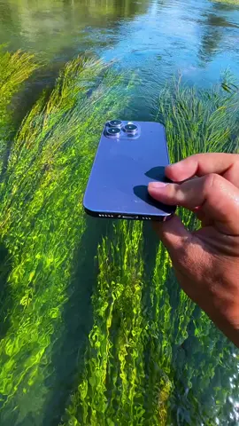 The wind combs through the leaves, the water reflects the sky. 