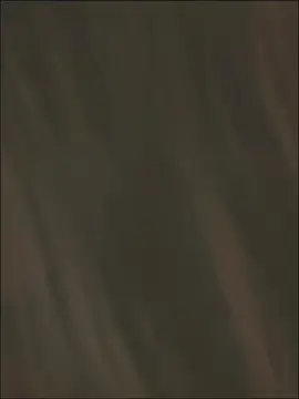 🍁#foryou #explore #trending #viralvideo #unfrezzmyaccount 